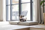 Designed by Lotte Ortopedisk Hundemadrass i Ribbestoff - Grå (51-716356)