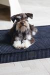Designed by Lotte Ortopedisk Hundemadrass i Ribbestoff - Antrasitt  (51-716361-1500014562)