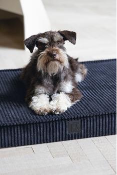 Designed by Lotte Ortopedisk Hundemadrass i Ribbestoff - Antrasitt  (51-716361-1500014562)
