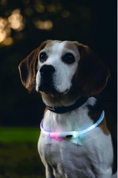 LED-Lyshalsbånd,  Multi - 65cm (51-749857)