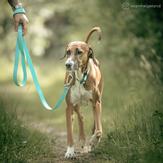 Paikka Glow Kobbel - Blå (120-1036001-1500052526)