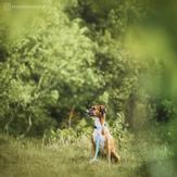 Paikka Glow Kobbel - Blå (120-1036001-1500052526)