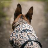 Paikka Visibility Regndekken - Leopard (120-1041001-1500049465)