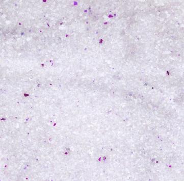 Finkornet Silica Katteperler med Babypudder - 15L (14-561239)