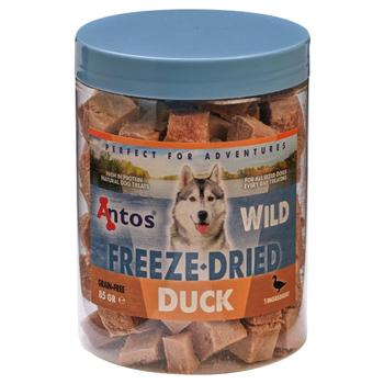 Antos WILD Frysetørket And - 85g (7-20506)