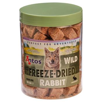 Antos WILD Frysetørket Kanin - 90g (7-20509)