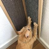 D&D Penny Kloremøbel,  Grå - 90cm (59-D433464373)