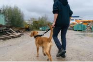 Non-stop Security Strap WD - Svart (44-1012)