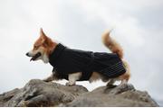 Non-stop Fjord Raincoat - Svart (44-29221-1500058961)