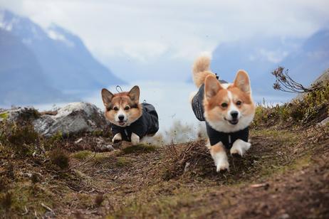 Non-stop Fjord Raincoat - Svart (44-29291)