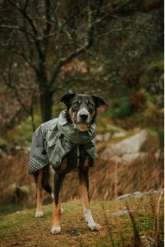 Non-stop Fjord Raincoat - Grå/Grønn (44-29652)