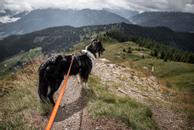 Non-stop Line Harness Grip (44-2192-1500012594)