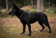 Non-stop Defense Line Harness Grip - Grønn (44-5179)