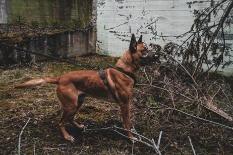 Non-stop Defense Line Harness Grip - Grønn (44-5179)