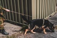 Non-stop Defense Line Harness Grip - Grønn (44-5179)