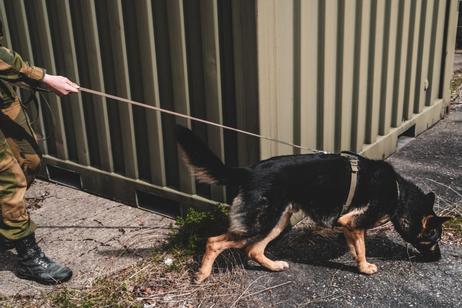 Non-stop Defense Line Harness Grip - Grønn (44-5179)