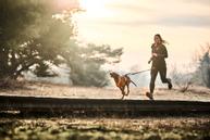 Non-stop CaniX Belt 2.0 (44-12341-1500042519)