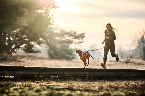 Non-stop CaniX Belt 2.0 (44-12341-1500042519)