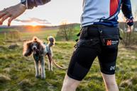 Non-stop CaniX Belt 2.0 (44-12341-1500042519)