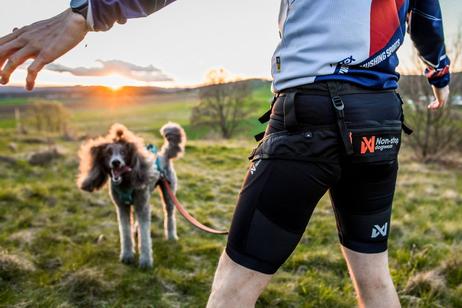 Non-stop CaniX Belt 2.0 (44-12341-1500042519)