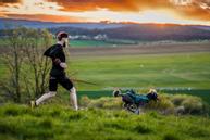 Non-stop CaniX Belt 2.0 (44-12341-1500042519)