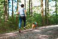 Non-stop CaniX Belt 2.0 (44-12341-1500042519)