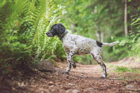 Non-stop Tumble Halsbånd - Blå (44-3477-1500056492)