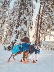 Non-stop Glacier Jacket 2.0 - Blå (44-32321)