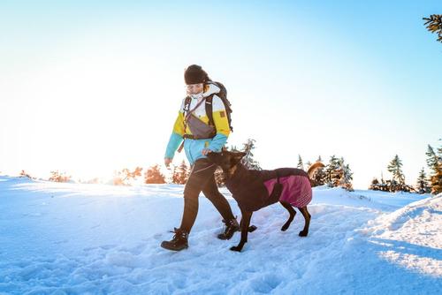 Non-stop Glacier Jacket 2.0 - Lilla (44-32141-1500038452)