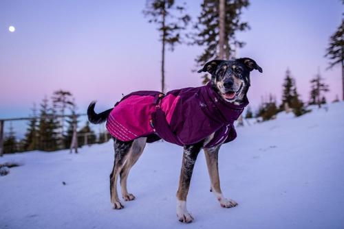 Non-stop Glacier Jacket 2.0 - Lilla (44-32251)