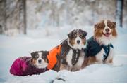 Non-stop Glacier Jacket 2.0 - Lilla (44-32251)