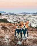 Non-stop Glacier Wool Jacket 2.0 - Marineblå (44-32422-15000644957)