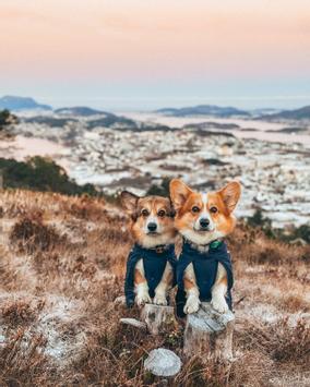 Non-stop Glacier Wool Jacket 2.0 - Marineblå (44-32422-15000644957)