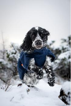 Non-stop Glacier Wool Jacket 2.0 - Marineblå (44-32422)