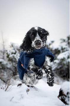 Non-stop Glacier Wool Jacket 2.0 - Marineblå (44-32422-15000644957)