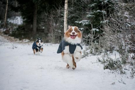 Non-stop Glacier Wool Jacket 2.0 - Marineblå (44-32422-15000644957)