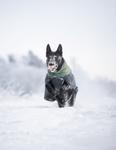 Non-stop Glacier Wool Jacket 2.0 - Grå/Grønn  (44-32491-15000644956)