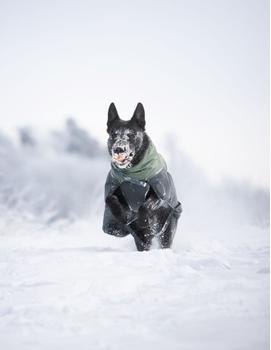 Non-stop Glacier Wool Jacket 2.0 - Grå/Grønn  (44-32491-15000644956)