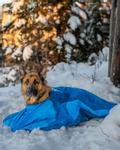 Non-stop Ly Sovepose til Hund - Blå  (44-1821)