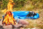 Non-stop Ly Sovepose til Hund - Blå  (44-1821)