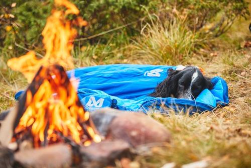 Non-stop Ly Sovepose til Hund - Blå  (44-1820-1500055598)