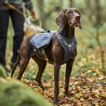 Hurtta Expedition Pack ECO (16-H934713-1500015963)