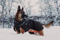 Non-stop Trekking Raincoat - Svart  (44-3280)