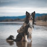 Non-stop Defense Safe Life Vest - Grønn (44-5095-1500062209)