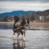 Non-stop Defense Safe Life Vest - Grønn (44-5095-1500062209)