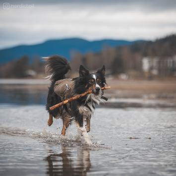 Non-stop Defense Safe Life Vest - Grønn (44-5095-1500062209)