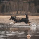 Non-stop Defense Safe Life Vest - Grønn (44-5095-1500062209)