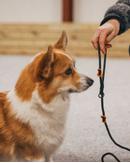 Non-stop Retriever Kobbel - Svart (44-3363)