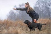 Non-stop Retriever Kobbel - Orange (44-3332-1500069593)