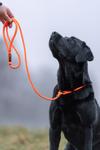 Non-stop Retriever Kobbel - Orange (44-3332-1500069593)